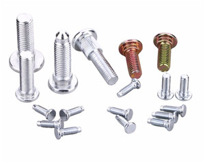 Rivet screw